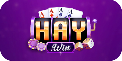 haywin logo