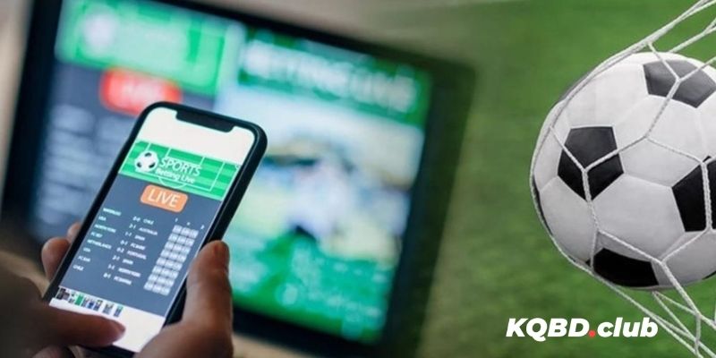 kqbd.club livescore