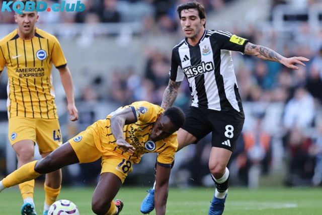 Đội hình dự kiến trận Brighton & Hove Albion vs Newcastle United Đội hình dự kiến trận Brighton & Hove Albion vs Newcastle United