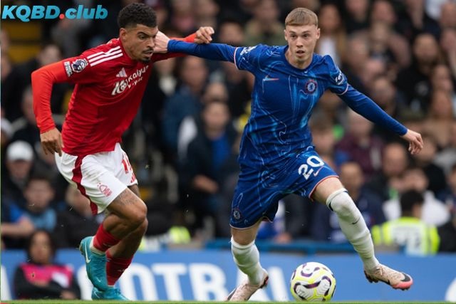 Đội hình dự kiến trận Nottingham Forest vs Chelsea Đội hình dự kiến trận Nottingham Forest vs Chelsea