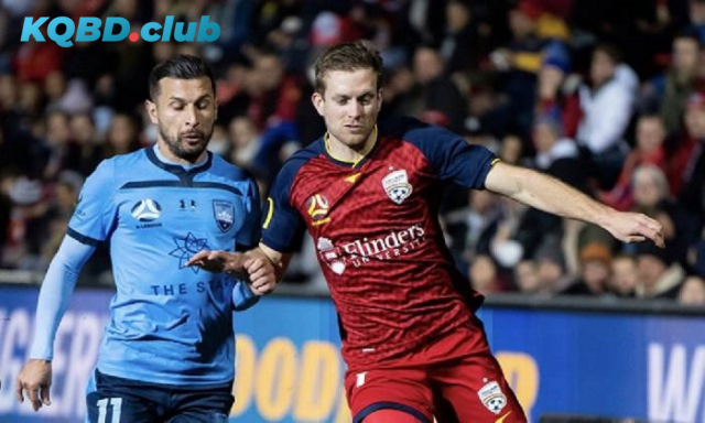 Đội hình dự kiến trước trận Adelaide United vs Sydney FC Đội hình dự kiến trước trận Adelaide United vs Sydney FC