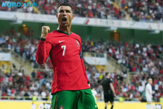 Đội hình dự kiến trước trận Bồ Đào Nha vs Hungary Đội hình dự kiến trước trận Bồ Đào Nha vs Hungary