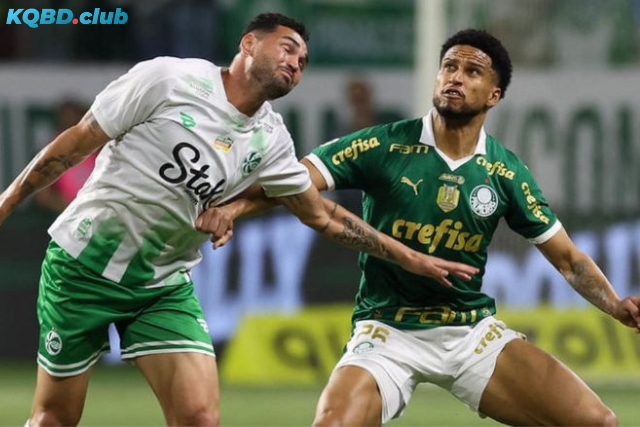 Đội hình dự kiến trước trận Juventude vs Palmeiras