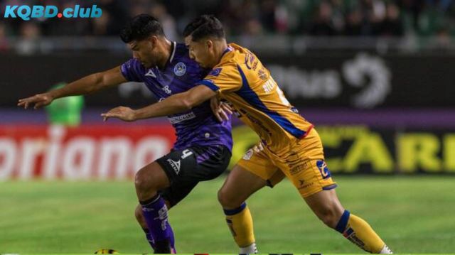 Đội hình dự kiến trước trận Mazatlan vs Atletico San Luis Đội hình dự kiến trước trận Mazatlan vs Atletico San Luis