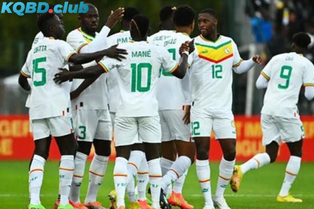 Đội hình dự kiến trước trận Nam Sudan vs Senegal Đội hình dự kiến trước trận Nam Sudan vs Senegal