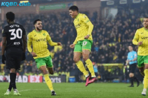 Đội hình dự kiến trước trận Norwich vs Hull