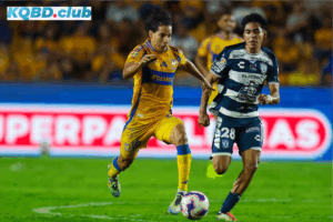 Đội hình dự kiến trước trận Pachuca vs Tigres UANL
