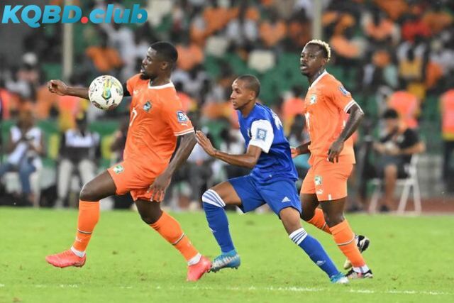 Đội hình dự kiến trước trận Seychelles vs Bờ Biển Ngà Đội hình dự kiến trước trận Seychelles vs Bờ Biển Ngà