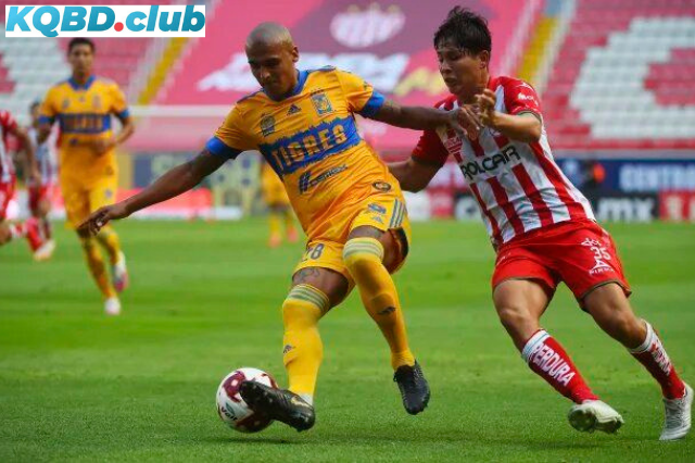 Đội hình dự kiến trước trận Tigres UANL vs Necaxa Đội hình dự kiến trước trận Tigres UANL vs Necaxa