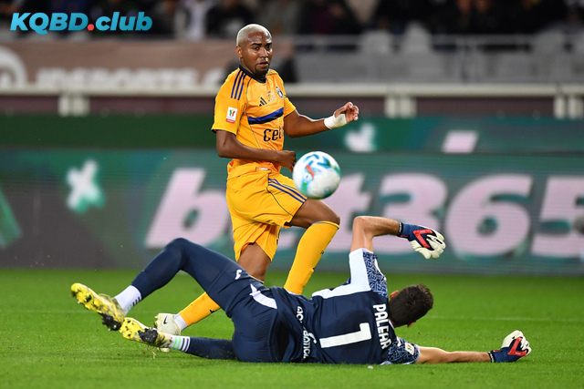  Đội hình dự kiến trước trận Torino vs Pisa