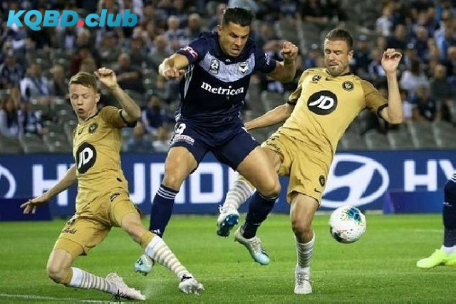 Đội hình dự kiến trước trận WS Wanderers vs Melbourne City Đội hình dự kiến trước trận WS Wanderers vs Melbourne City