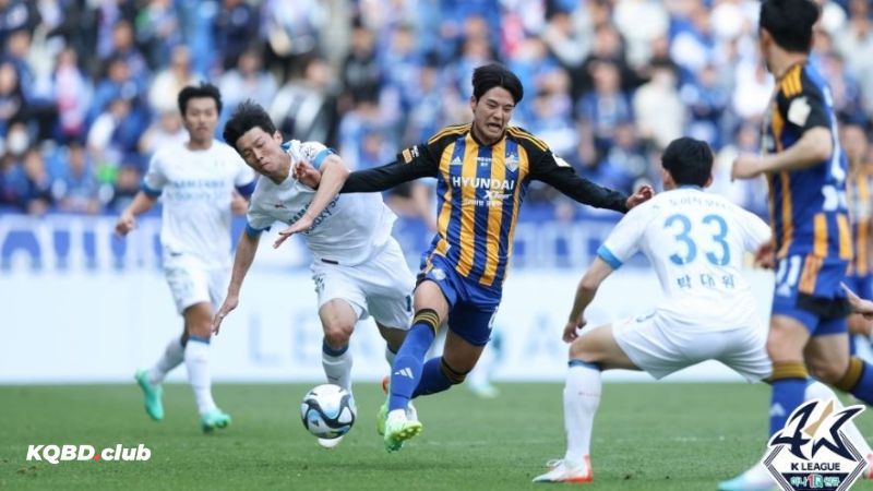 Chuyên môn vượt trội