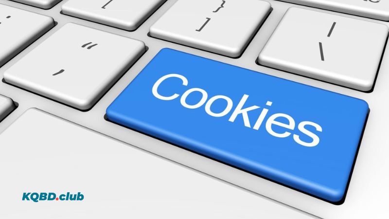 Website có sử dụng cookie để tối ưu khi truy cập Website có sử dụng cookie để tối ưu khi truy cập